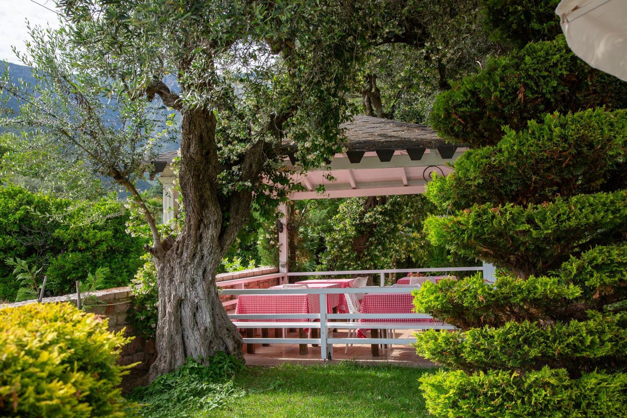 Vila Florika Hotel Borsh Buitenkant foto